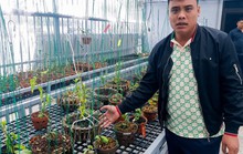 Đường dây than lậu do hai đại gia lan đột biến điều hành hoạt động rầm rộ thời gian dài