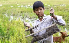 Quá sớm để dự báo hạn, mặn ở miền Tây
