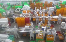 Giúp doanh nghiệp khôi phục sản xuất - kinh doanh (*): Không để đứt gãy chuỗi cung ứng nông sản, thực phẩm