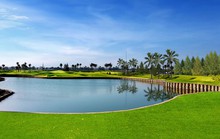 Giới nhà giàu mua sắm gì trong đại dịch?
