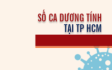 [Infographic] Số ca mắc Covid-19 ở TP HCM đến ngày 5-8