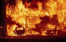 Thị trấn Greenville của bang Califorbia bị xóa sổ trong biển lửa