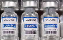 Thủ tướng giao Bộ Y tế có văn bản hỗ trợ Vimedimex mua vắc-xin Sputnik V