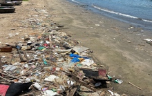 Cuộc thi viết "Chủ quyền quốc gia bất khả xâm phạm": Hành động vì màu xanh của biển