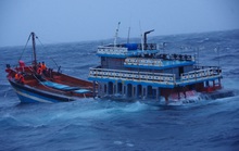 Tàu Cảnh sát biển xuyên màn đêm liên tiếp ứng cứu 2 tàu cá ngư dân gặp nạn ở Lý Sơn