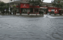 Phố Đà Nẵng thành sông sau những cơn mưa lớn kéo dài