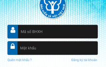 Hướng dẫn xem thông báo xác nhận đóng bảo hiểm xã hội trên VssID