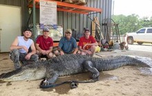 Mỹ: Phát hiện cổ vật ngàn năm trong bụng cá sấu quái vật