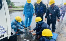 PC Quảng Ngãi: Khẩn trương khắc phục sự cố sau bão số 5
