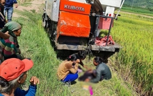 Bé trai 8 tuổi bị máy gặt lúa tông tử vong khi đang bắt chuột
