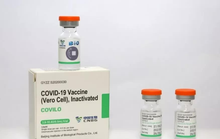 Cơ quan chuyên môn nói gì về hàm lượng kháng nguyên vắc-xin Vero Cell nhập khẩu?