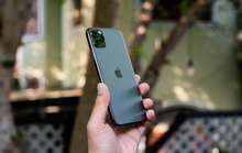 Trộm Iphone 11 của cô gái, thanh niên nhắn tin bắt phải…chuộc lại
