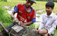 Lũ về muộn, nông dân miền Tây vẫn sống khỏe từ những việc đơn giản