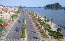 Sử dụng cát lậu thi công dự án đường bao biển đẹp nhất Việt Nam