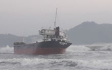 Bị tàu hàng đâm, 2 ngư dân trên tàu cá Bình Định rơi xuống biển mất tích