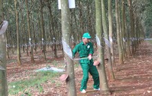 Những sáng kiến hữu ích