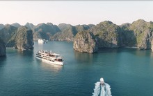 Chìa khóa mở cửa bầu trời: Thẻ thông hành xanh cho thị trường nội địa