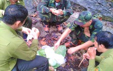 Chuyến tuần tra nhớ đời