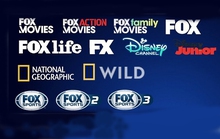 Dừng phát sóng các kênh truyền hình Disney Channel, Fox Movies, Fox Sports… từ 1-10