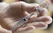 Pfizer phát triển vắc-xin lai chống Omicron
