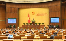 Quốc hội: Quyết liệt điều tra, xử lý không có vùng cấm, không có ngoại lệ vụ Việt Á