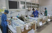 4 người trong gia đình nhập viện do ngộ độc sau khi ăn củ nần
