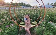 Rực rỡ sắc hoa tại Cần Thơ