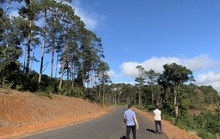 Chủ tịch tỉnh Kon Tum chỉ đạo tạm dừng dự án lấy đất rừng làm khu biệt thự