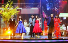 Mai Vàng Hamlet Trương khuấy động xuân sắc màu thời gian