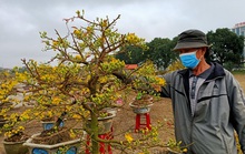 Cảnh khác lạ chưa từng thấy ở chợ hoa Tết lớn nhất TP Thanh Hóa