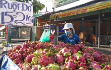 Khoảng 300.000 tấn thanh long có nguy cơ ế ẩm khi Trung Quốc ngừng mua