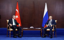 Điện Kremlin phủ nhận Tổng thống Nga thảo luận “dàn xếp xung đột”