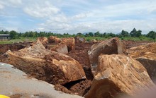 Đá tặc lộng hành ở Mang Yang