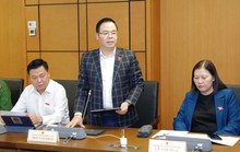 Từ vụ Tân Hoàng Minh, FLC, Công ty An Đông, đại biểu Quốc hội đề nghị làm rõ trách nhiệm quản lý