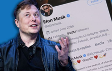 Tỉ phú Musk có thể “quay xe” hợp lệ thương vụ mua lại Twitter