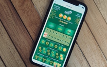 Giải mã cơn sốt Bingo18