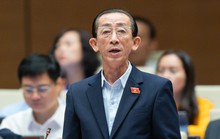 Đại biểu Trần Hoàng Ngân: Cần ủy quyền cho Ủy ban Thường vụ QH quyết về thuế xăng dầu