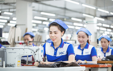 Thị trường lao động phục hồi mạnh mẽ