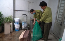 Người dân quận 12 giao nộp khỉ quý hiếm