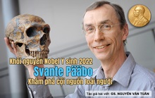 Phân tích đặc biệt về Giải Nobel Y sinh 2022