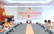 Đề xuất thí điểm đấu giá biển số xe đẹp trong 3 năm