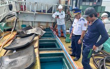 Cảnh sát biển quyết liệt chống buôn lậu xăng dầu