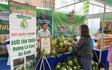 TP HCM, Hà Nội, Đà Nẵng đồng loạt tổ chức Tuần lễ sản vật Việt Nam