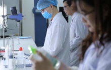 Ra mắt Mạng lưới nhà khoa học trẻ ngành y tế Việt Nam toàn cầu