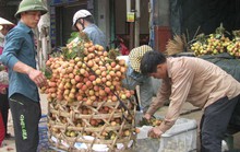 Trái cây Việt ngày càng vươn xa