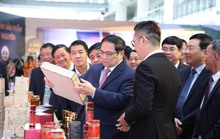Thủ tướng Chính phủ chủ trì Hội nghị phát triển vùng Tây nguyên