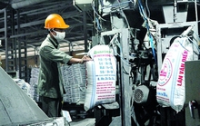 Phó Thủ tướng Lê Văn Thành ký ban hành Danh sách cơ sở sử dụng năng lượng trọng điểm