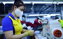 Đề xuất chỉ được rút 8% BHXH một lần: 14% còn lại chia sẻ cho ai?