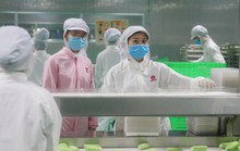 Dự báo “nóng”: Làn sóng sa thải người lao động khắp nơi và hệ luỵ