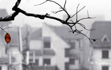 Nhớ những mùa cày rét mướt